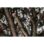 CABEZAL PODADORA QUIK-LOK JARDIN FUEL M18 FOPH-CSA REF,4932464957 MILWAUKEE - Imagem 13