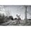 Tuerca rápida M14 para amoladoras 180 y 230 mm 4932464610 RAPIDA FIXTEC MILWAUKEE - Imagen 7