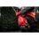 CABEZAL RECORTASETOS QUIK-LOK JARDIN FUEL M18 FOPH-HTA REF,4932464959 MILWAUKEE - Imagem 16