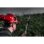 CABEZAL RECORTASETOS QUIK-LOK JARDIN FUEL M18 FOPH-HTA REF,4932464959 MILWAUKEE - Imagem 18