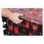 MALETA ORGANIZADORA PACKOUT DE ALTA CAPACIDADE REF,4932478625 MILWAUKEE - Imagem 17