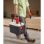 TERMO PACKOUT 710 ML ROJO REF,4932493465 MILWAUKEE - Image 3